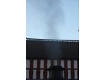 546033.jpg